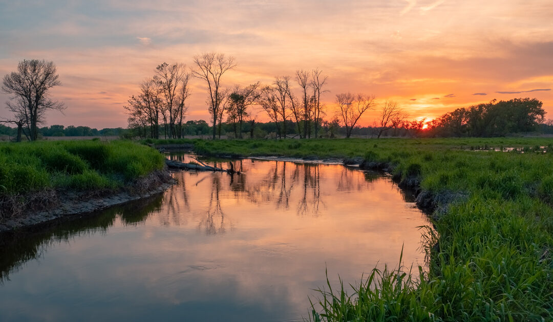 New model improves management of wetland, floodplain, and river habitats