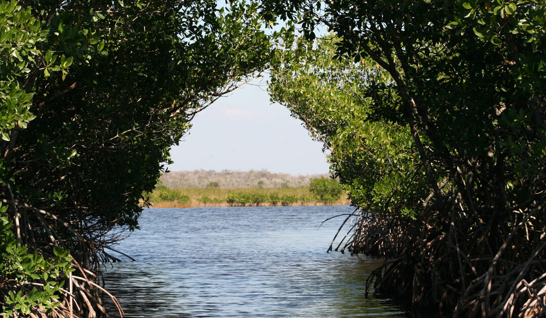 Construction set to start on critical Everglades project