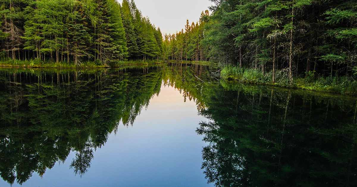 Great Lakes