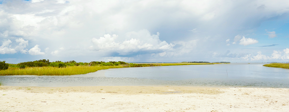 A sandy beach on one of the many Pamlico Sound islands of the North Carolina Outer Banks